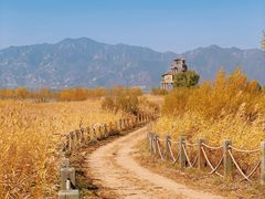 -野鸭湖国家湿地公园