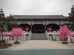 -厦门方特梦幻王国