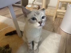 -安徽阜阳卷馍(西单店)