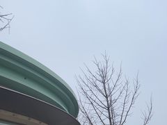 -喜茶(迪士尼小镇DP店)