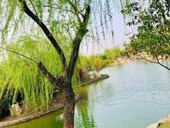 -鹦鹉寺公园