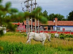 -青海湖国家重点风景名胜区