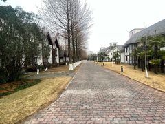 -太阳岛度假酒店