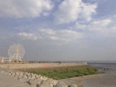 -碧海金沙