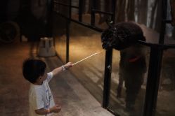 -酷嗒动物文化乐园(cutezoo西溪乐天城店)