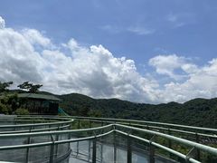 -海南槟榔谷黎苗文化旅游区