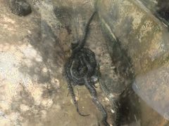 -海南热带野生动植物园