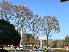 -成都泰迪熊博物馆