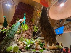 -寻滇记云南鲜牛肉火锅(北海路店)