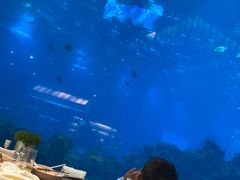 -涛·海底餐厅·美人鱼·自助餐·海底隧道(三亚海棠湾洲际度假酒店)