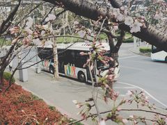 -上海南浦大桥长途旅游客运站