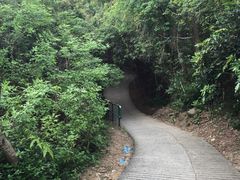 山路-南丫岛