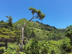 -硗碛藏寨·神木垒景区