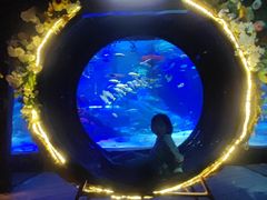 -沈阳海洋探索中心