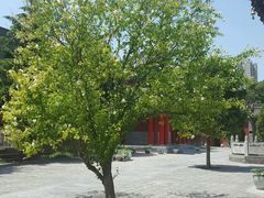 -骏途旅游