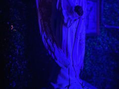 -樊笼真人密室逃脱(江南西店)