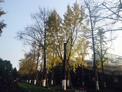 -青城道汤池