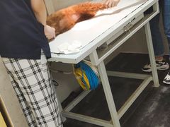 -关爱动物医院·心脏·中兽医·异宠(金牛路分院)