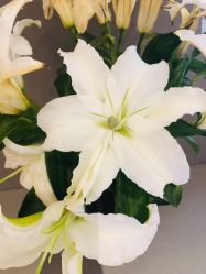 -LB·海菲秀牛奶光官方体验中心