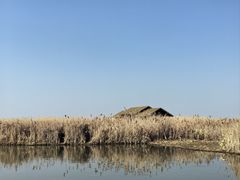 -宁波杭州湾国家湿地公园