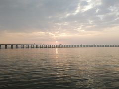 景点-宝安西湾红树林湿地公园