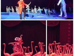 -珠海横琴长隆《卡卡虎奇遇记》