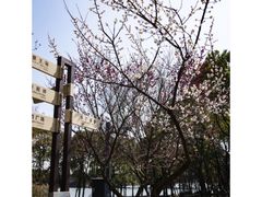 -长广溪湿地公园