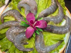 -杨记齐齐哈尔烤肉(逸仙路店)