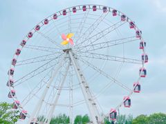 -顾村公园