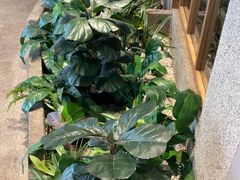 -蘸小院铁锅炖·蘸酱菜·东北菜(怀远门店)