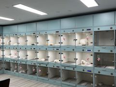-萌宠之家·腊肠犬·马尔泰·小体犬舍