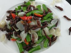 -悦真雅院·四合院·清真私房菜(雍和宫店)