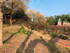 -松山湖梦幻百花洲