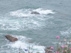 -燕儿岛山公园