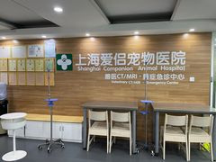 -爱侣宠医·鹦鹉专科·小型哺乳类·异宠专科(灵石路店)