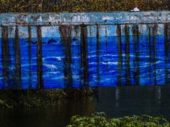 -重庆彩云湖湿地公园