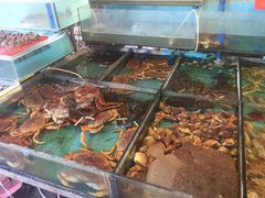 -渔人码头(洛溪店)