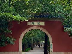 -灵谷景区