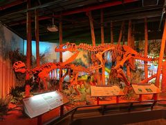 -正佳自然科学博物馆