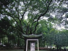 -兰亭风景区