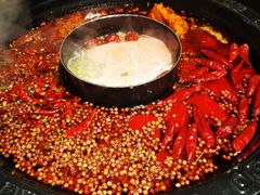 -蜀九香火锅(李家沱店)