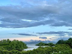 -深圳湾公园(南山区)