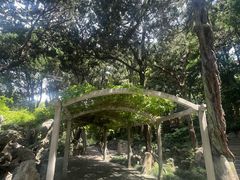 -叶家花园