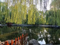 -玲珑塔公园