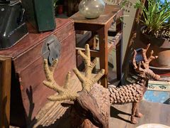 -时光花园(白鹭洲店)