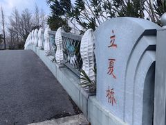 -上海长兴岛郊野公园