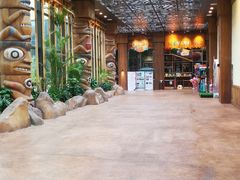 -杭州开元森泊度假乐园