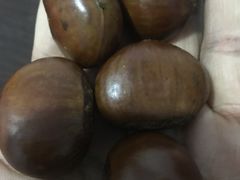 -黑孩油栗皇(南阳路店)