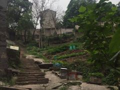-重庆平顶山公园