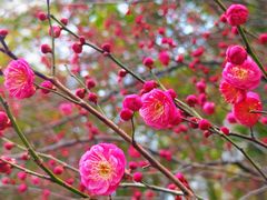 -浙江大学(玉泉校区)